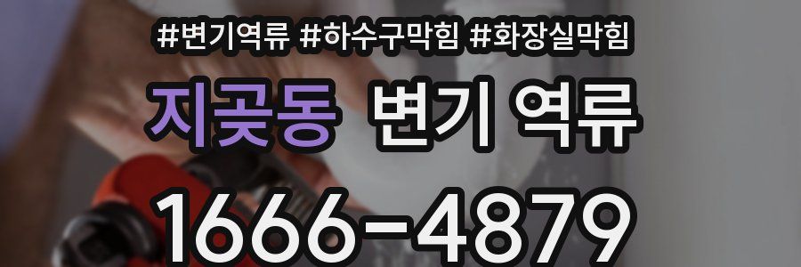 지곶동 변기 역류