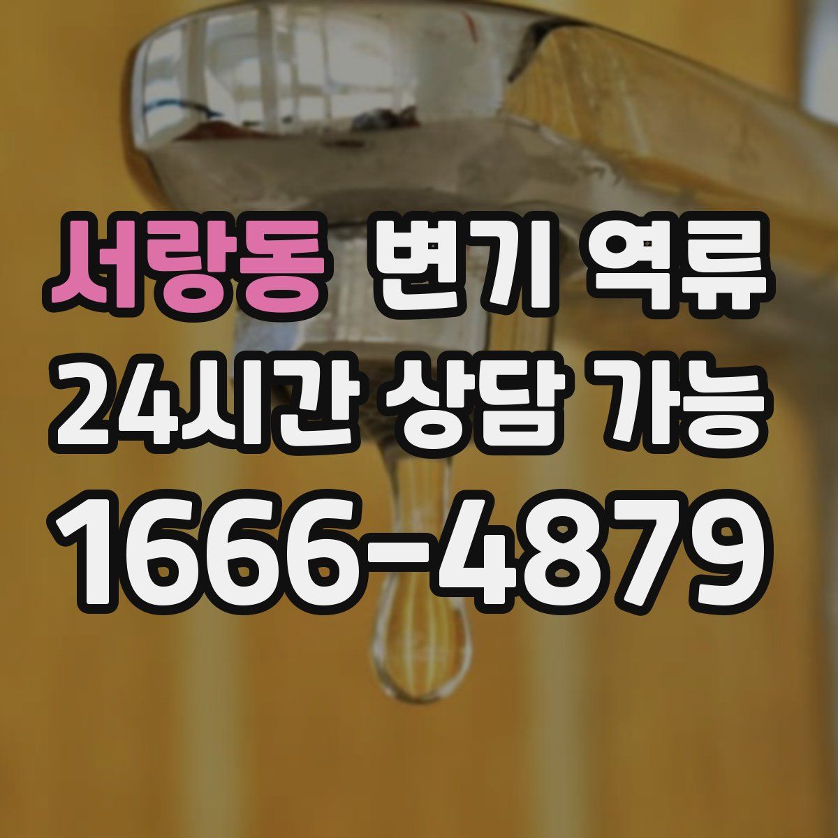 서랑동 변기 역류