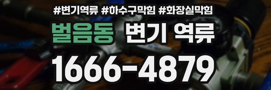 벌음동 변기 역류