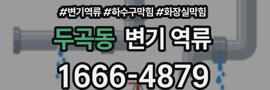 두곡동 변기 역류