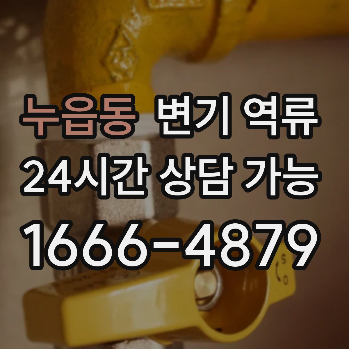 누읍동 변기 역류