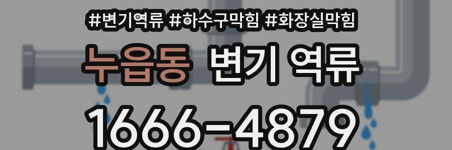 누읍동 변기 역류
