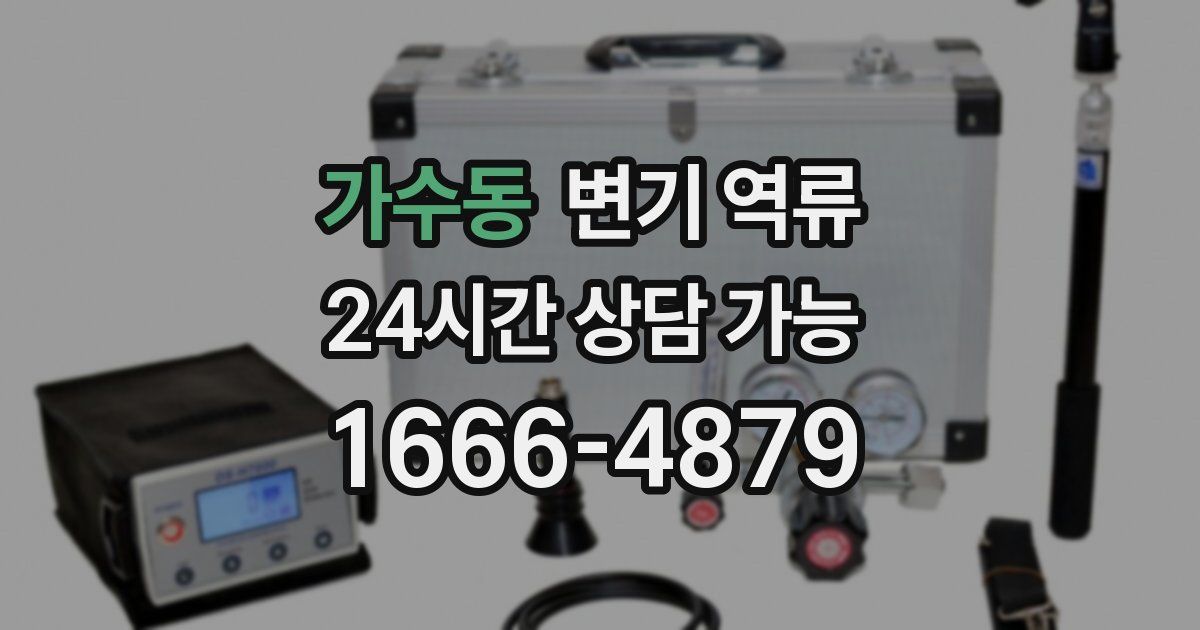 가수동 변기 역류