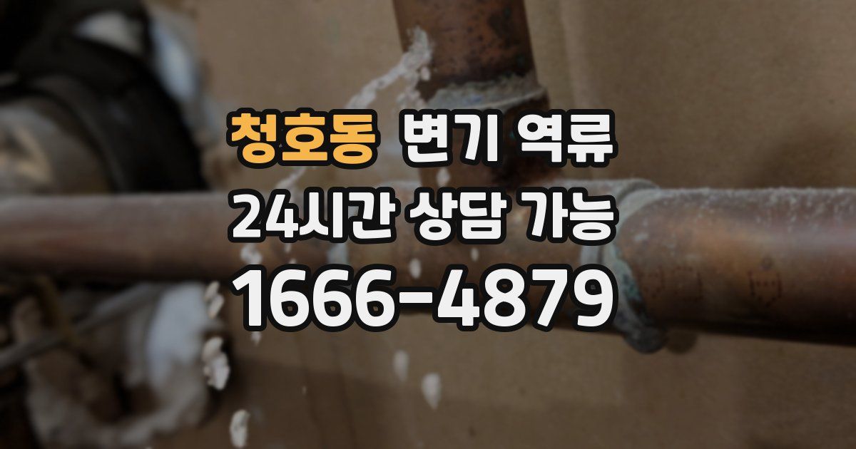 청호동 변기 역류