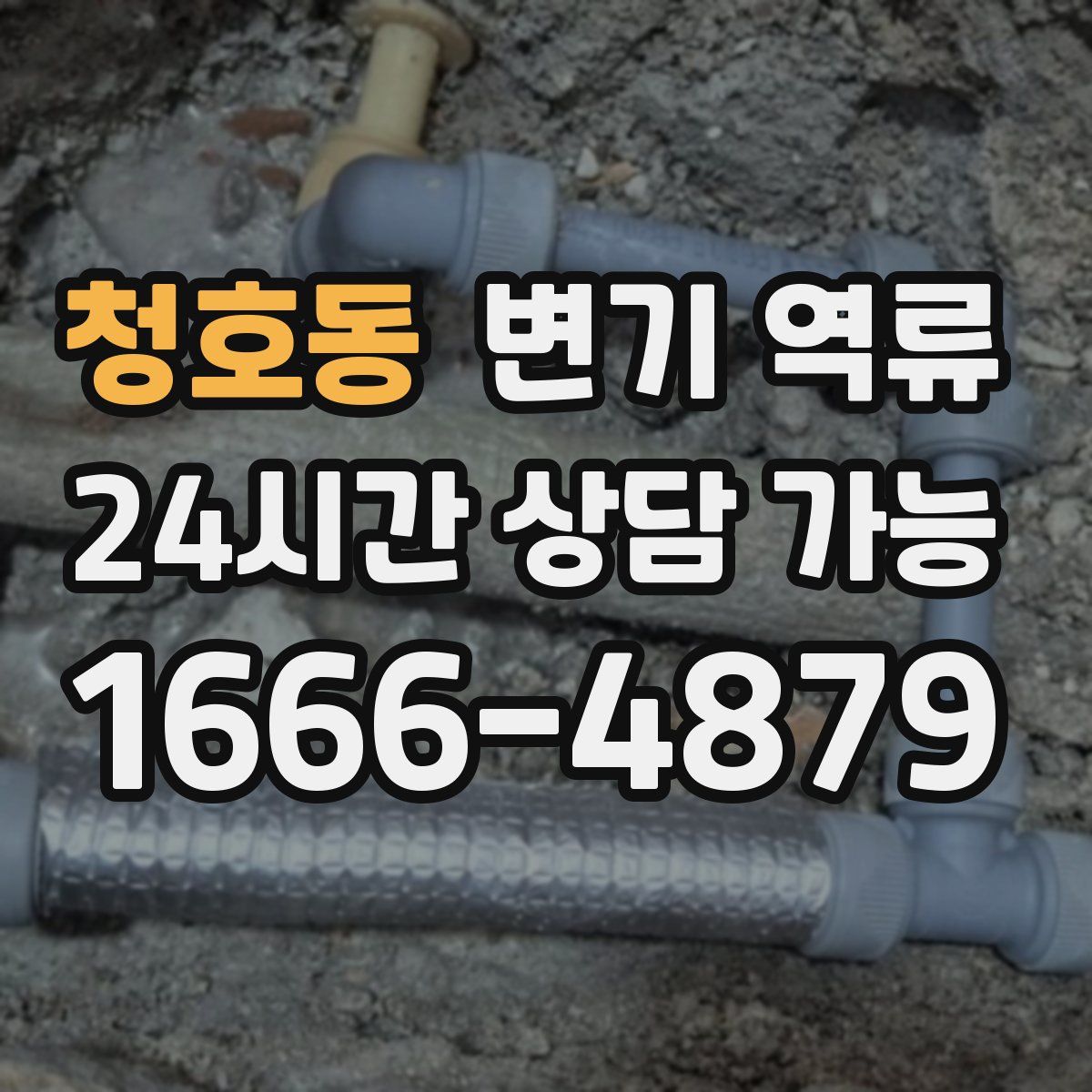 청호동 변기 역류