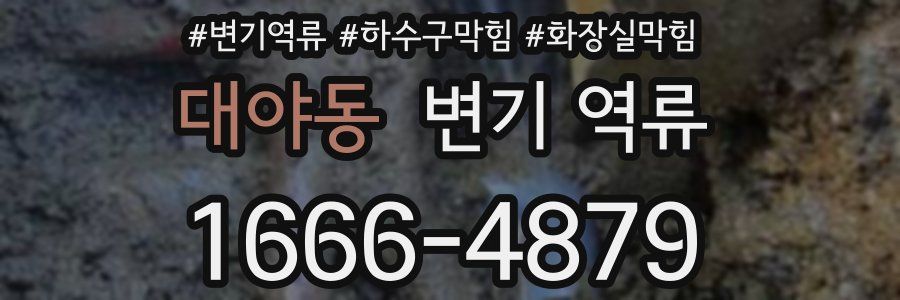 대야동 변기 역류