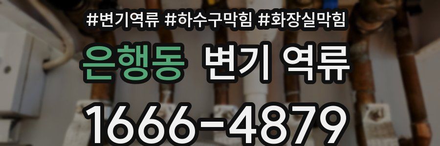 은행동 변기 역류