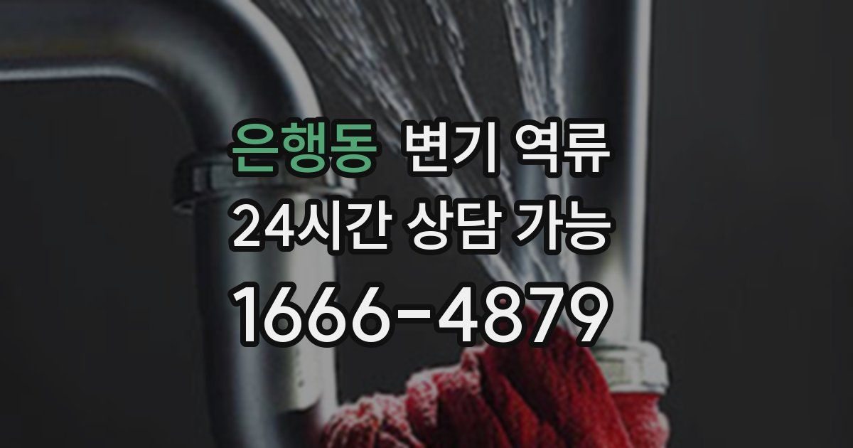 은행동 변기 역류