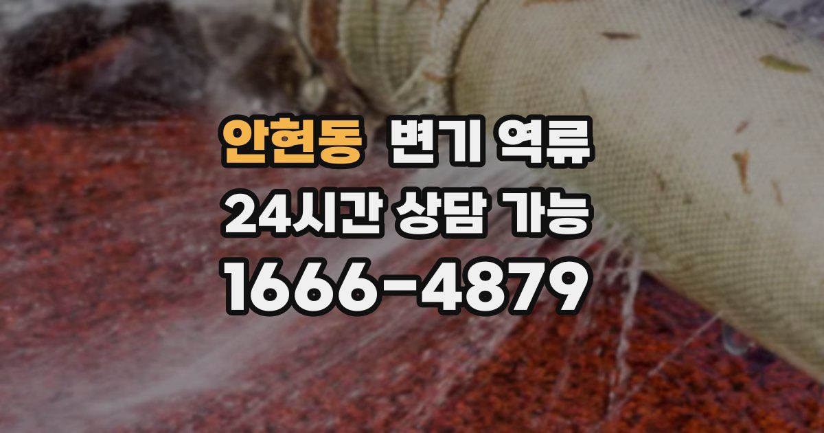 안현동 변기 역류