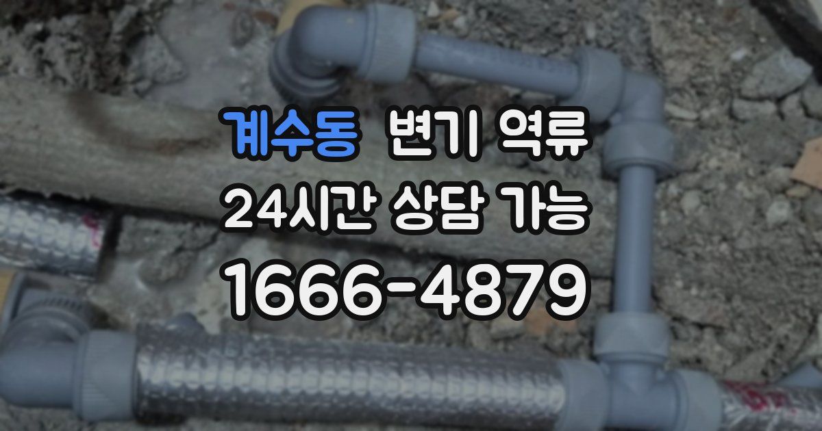 계수동 변기 역류