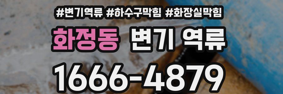 화정동 변기 역류