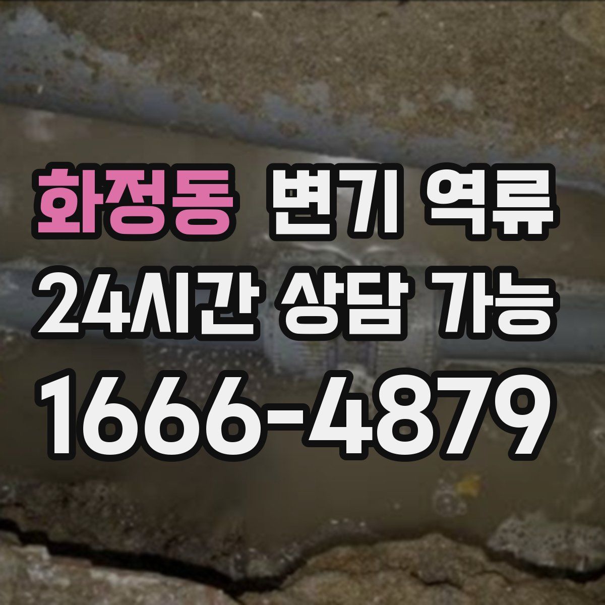 화정동 변기 역류