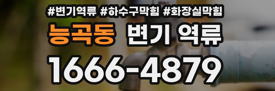 능곡동 변기 역류