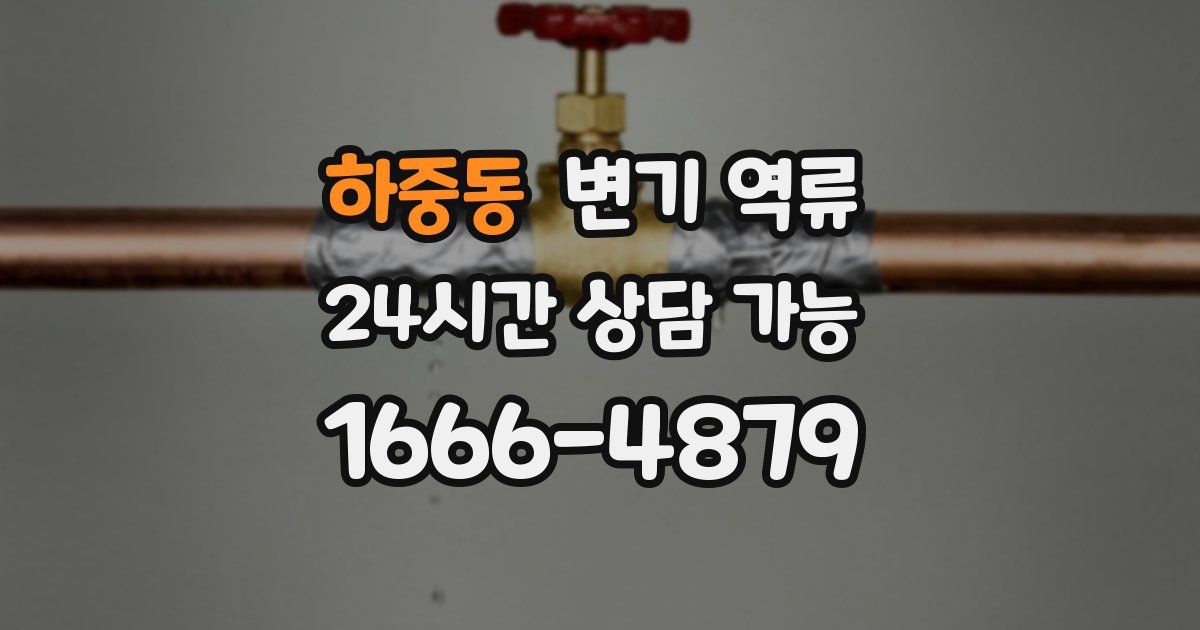 하중동 변기 역류