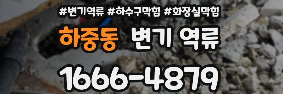 하중동 변기 역류