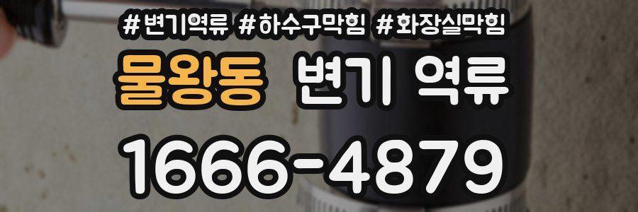 물왕동 변기 역류