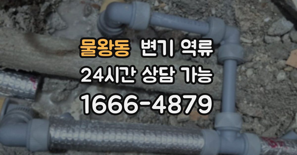 물왕동 변기 역류