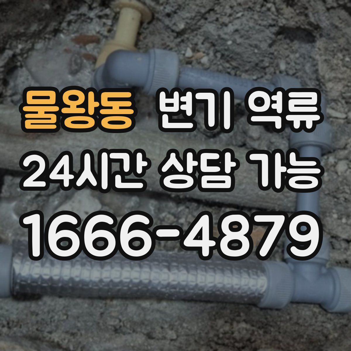 물왕동 변기 역류