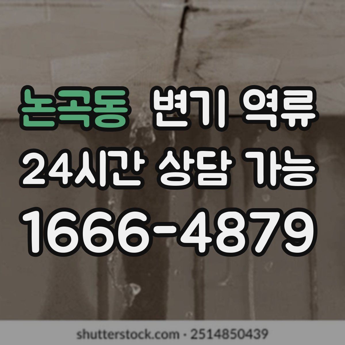 논곡동 변기 역류 세면대·샤워기까지 동시에 이상하면 공용 라인 의심