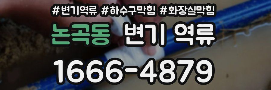 논곡동 변기 역류