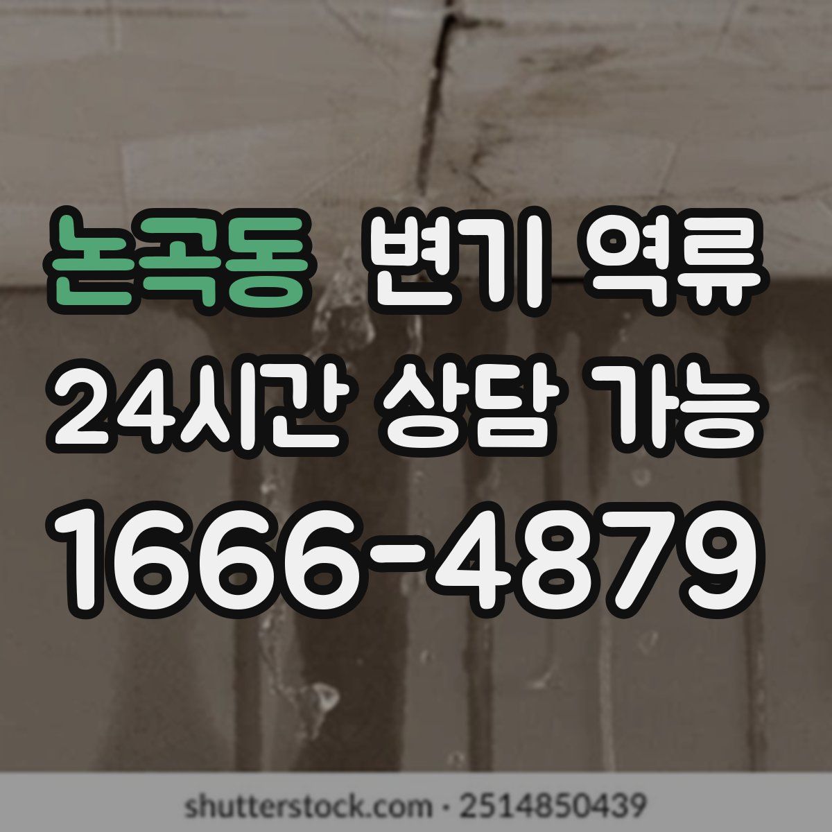 논곡동 변기 역류