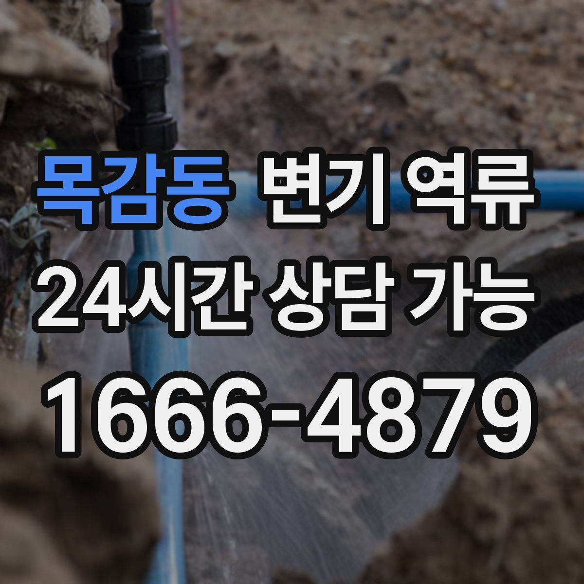 목감동 변기 역류