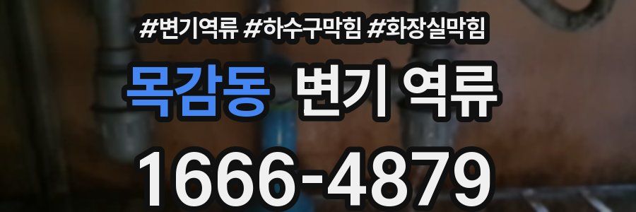 목감동 변기 역류