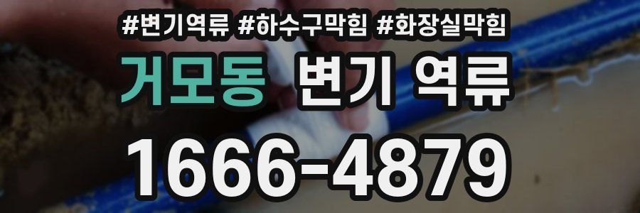 거모동 변기 역류