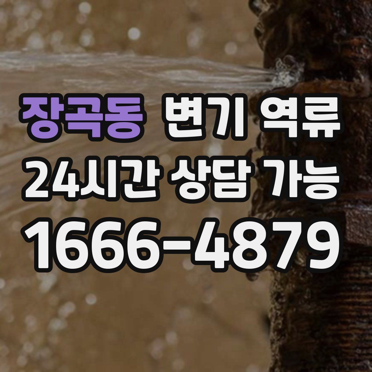 장곡동 변기 역류 물이 맑은지 탁한지로 구분하는 힌트