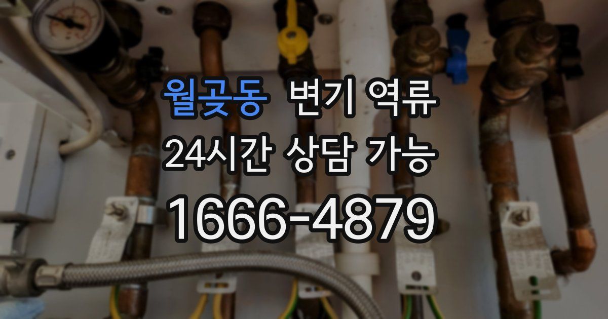 월곶동 변기 역류