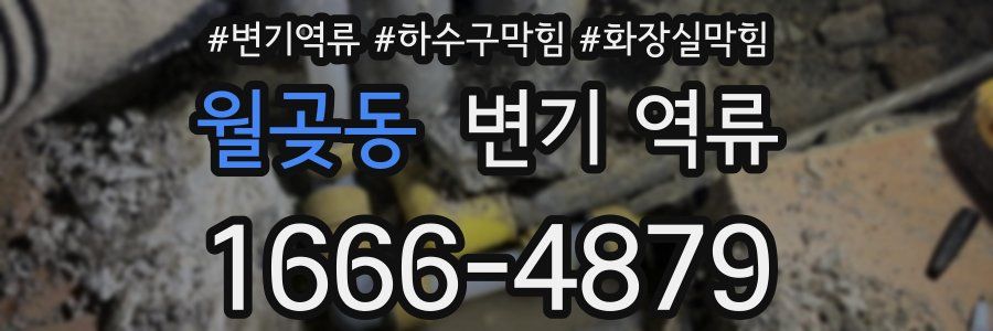 월곶동 변기 역류