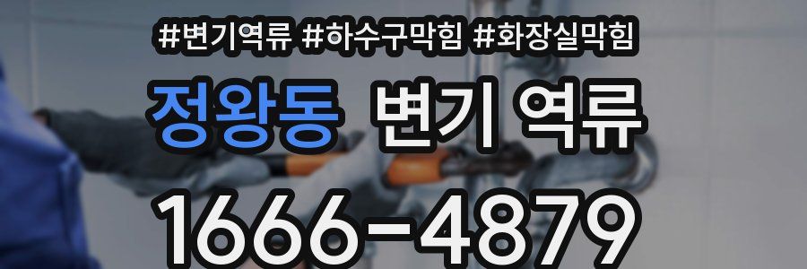 정왕동 변기 역류