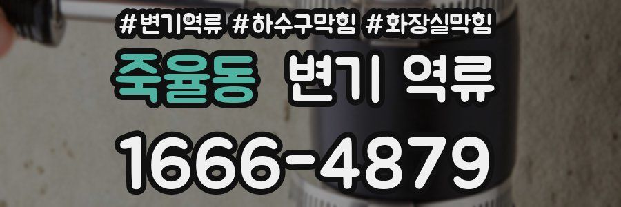 죽율동 변기 역류