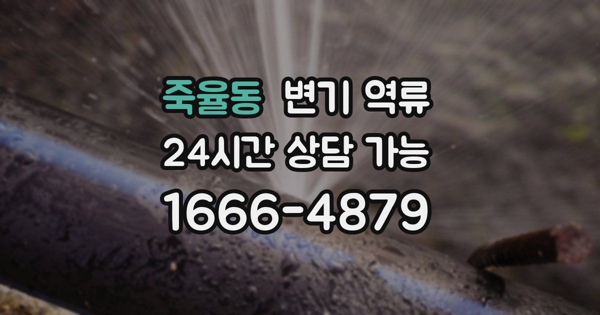 죽율동 변기 역류