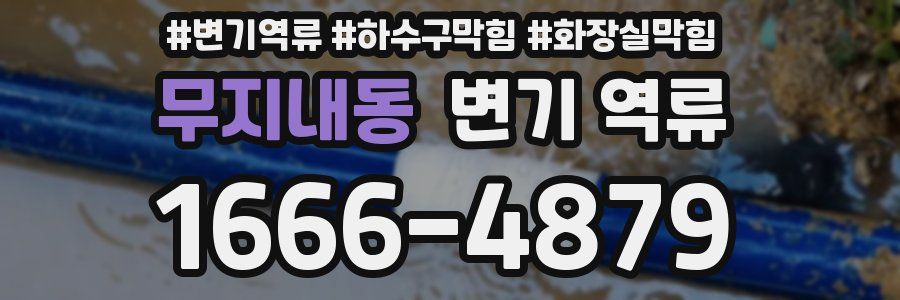 무지내동 변기 역류