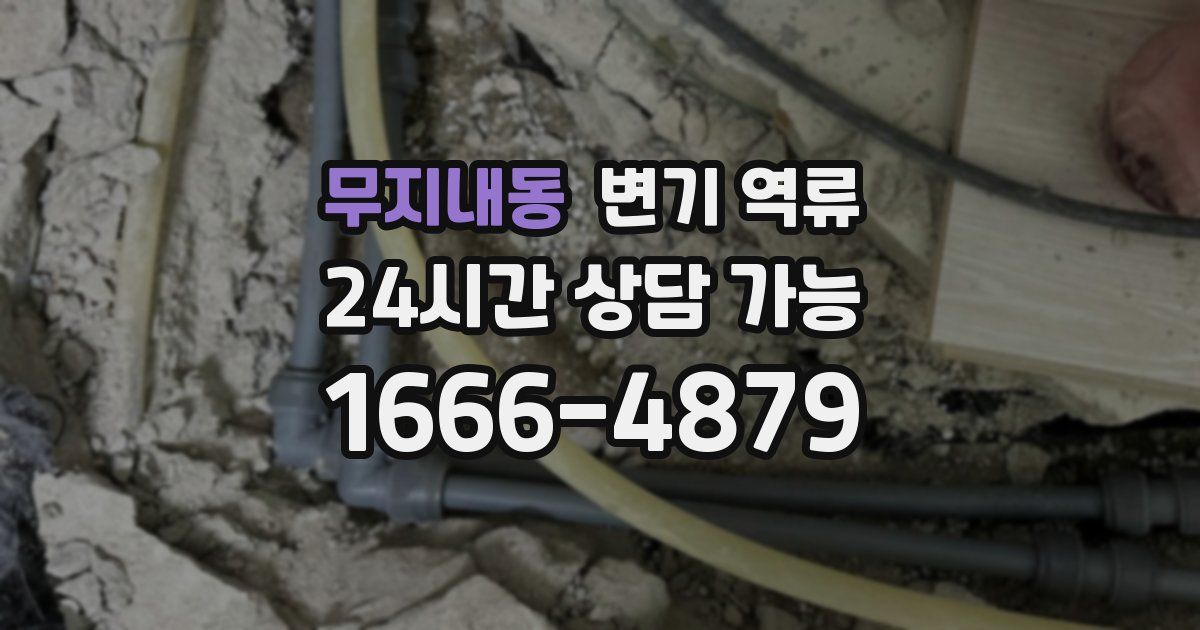 무지내동 변기 역류