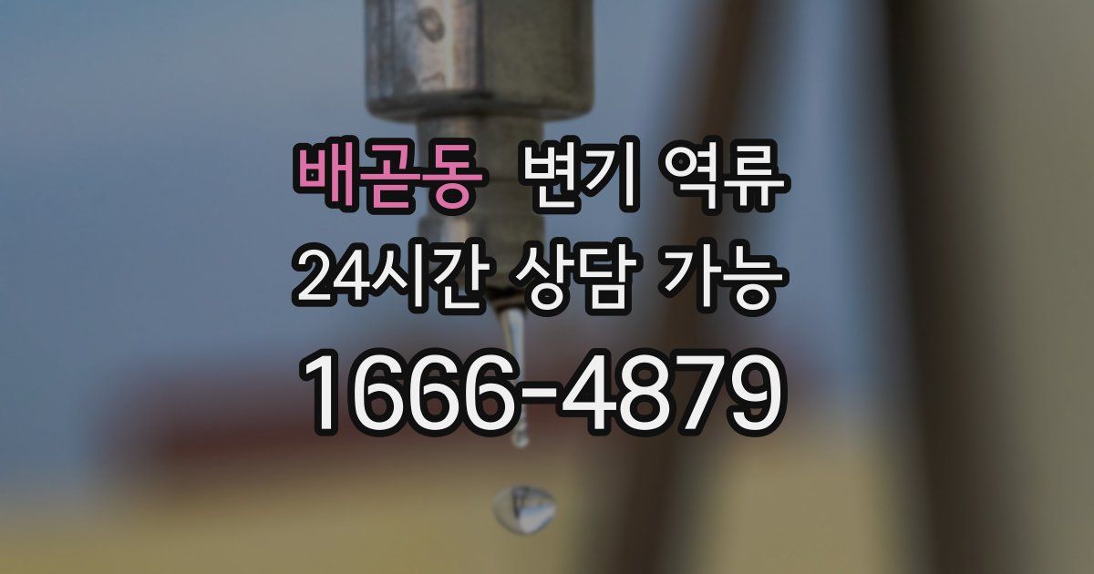 배곧동 변기 역류
