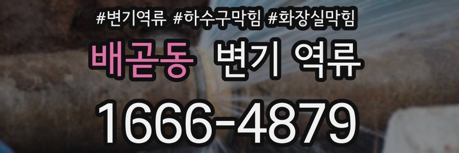 배곧동 변기 역류