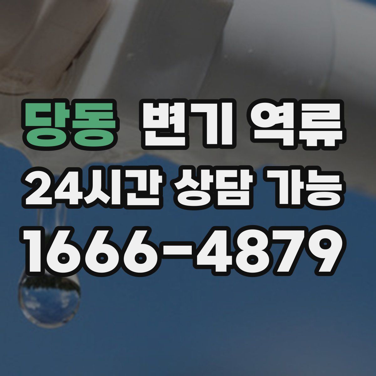 당동 변기 역류