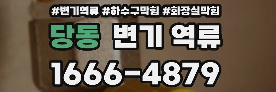 당동 변기 역류