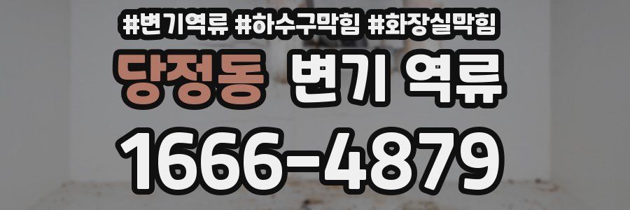 당정동 변기 역류