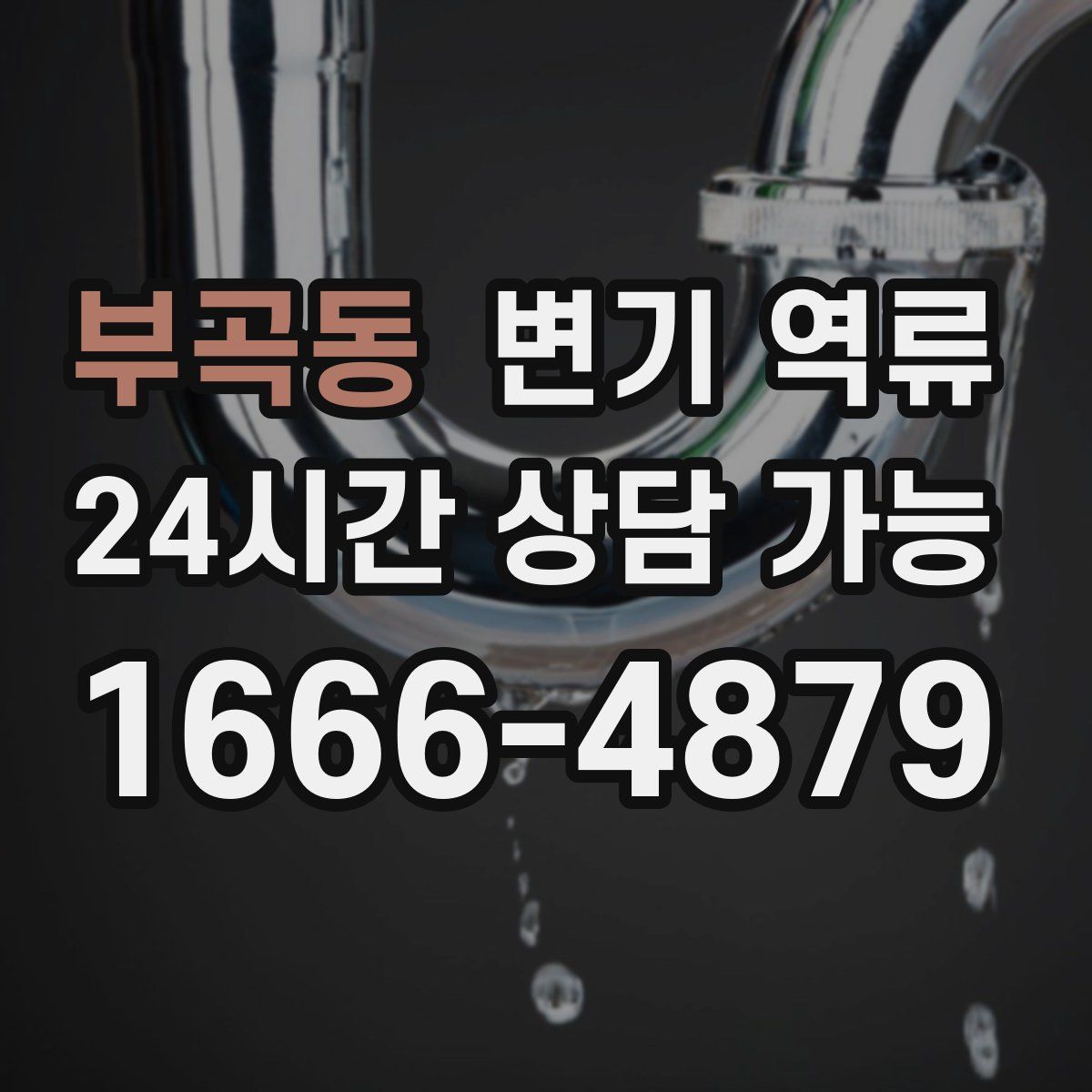 부곡동 변기 역류