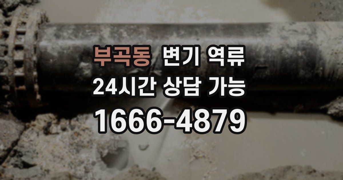 부곡동 변기 역류