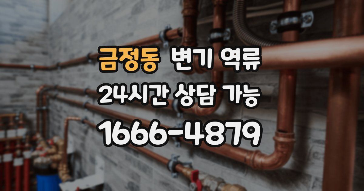 금정동 변기 역류