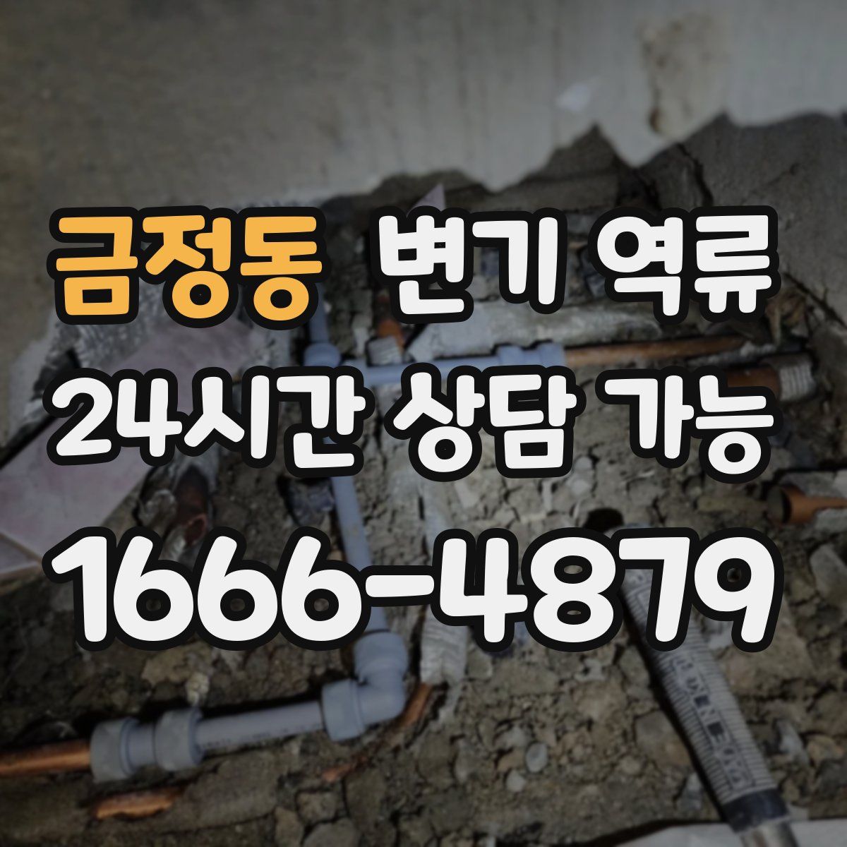 금정동 변기 역류