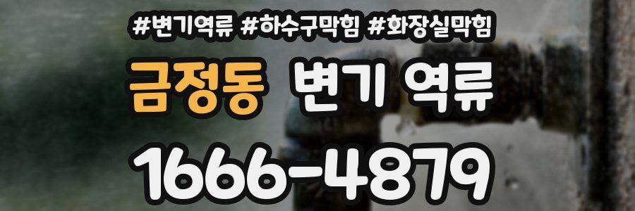 금정동 변기 역류