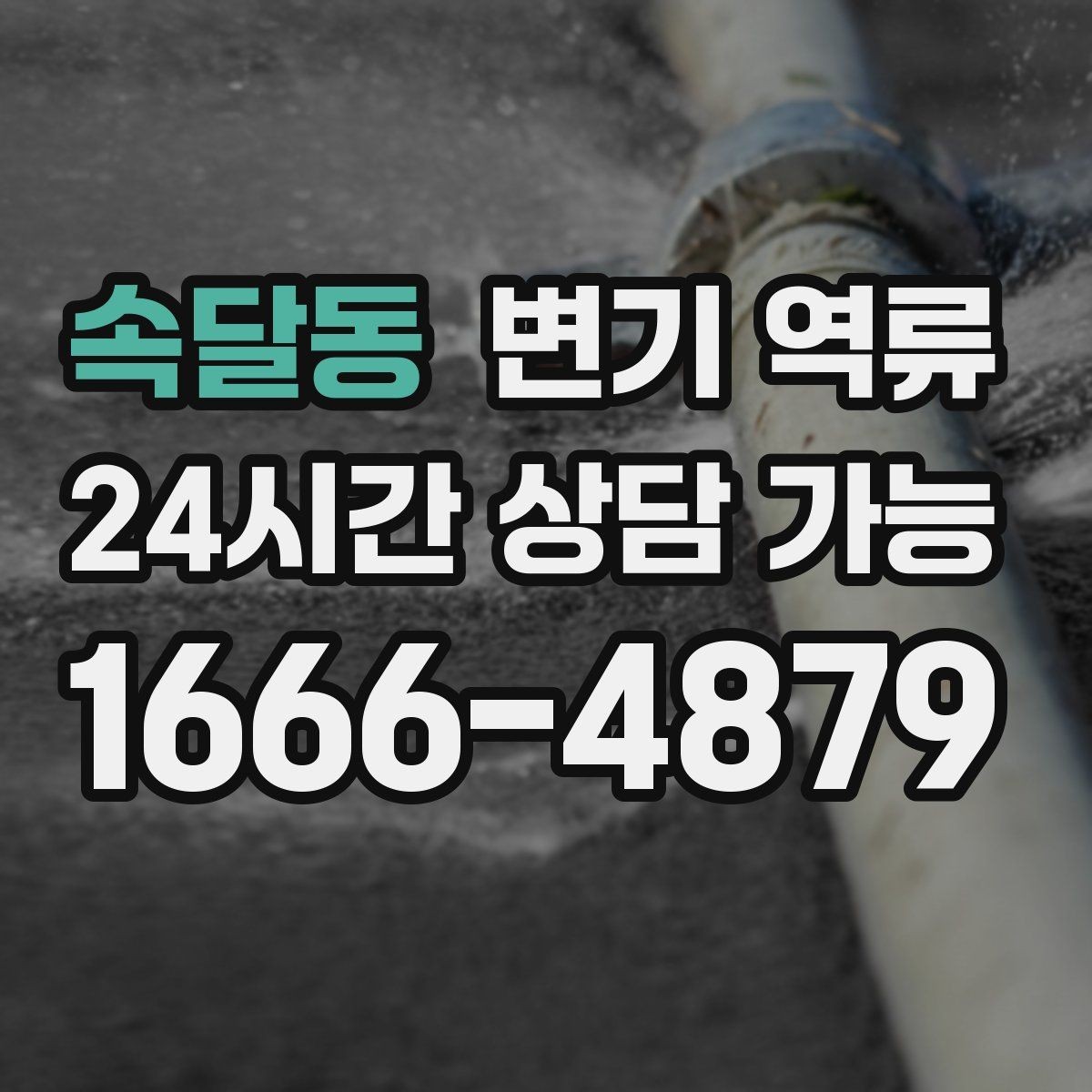 속달동 변기 역류 주방 싱크대 배수와 연동되는 느낌이 들 때
