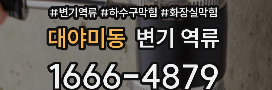 대야미동 변기 역류