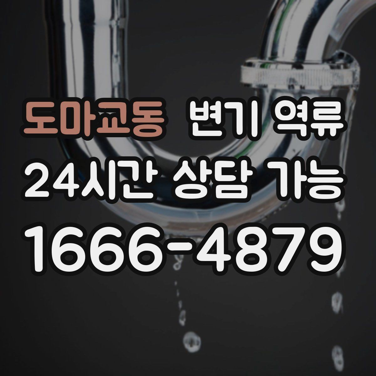 도마교동 변기 역류 샤워를 하면 더 악화될 수 있는 이유