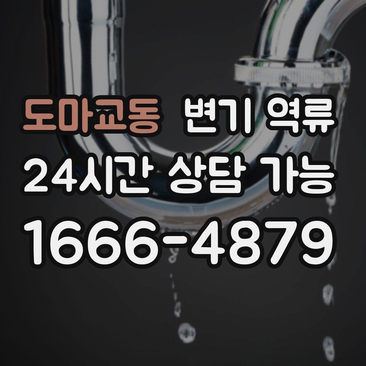 도마교동 변기 역류